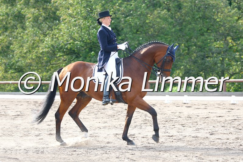 009M5753_Avantgarde_Dressur S Inter I__e.JPG